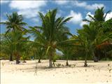 Sun Bay - VIEQUES